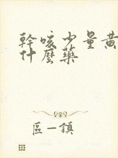 干咳少量黄痰吃什么药