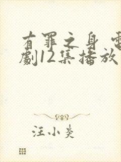 有罪之身 电视剧12集播放