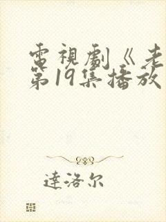 电视剧《老舅》第19集播放封面