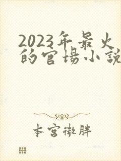 2023年最火的官场小说
