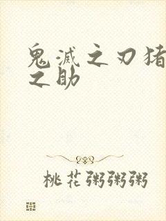 鬼灭之刃猪头伊之助封面