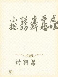 小说虐爱成宠陆总的新婚哑妻