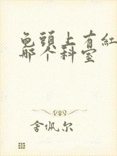 龟头上有红斑挂哪个科室