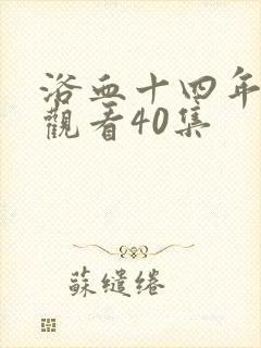 浴血十四年免费观看40集