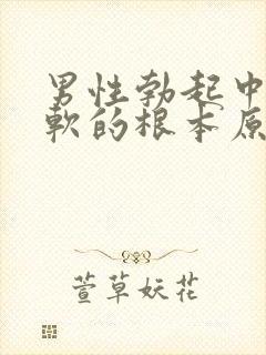 男性勃起中途疲软的根本原因