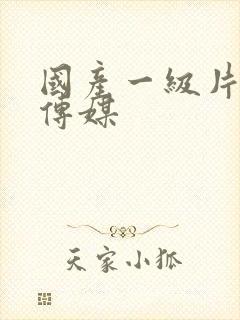 国产一级片在线传媒