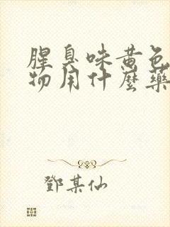 腥臭味黄色分泌物用什么药