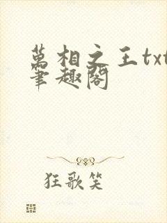 万相之王txt笔趣阁