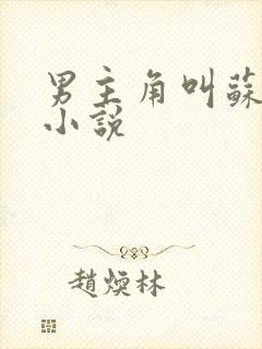 男主角叫苏文的小说