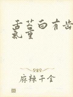 舌苔白有齿痕湿气重