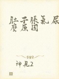 肚子胀气尿黄什么原因