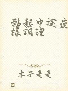 勃起中途疲软怎样调理封面