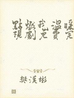 点燃我温暖你电视剧免费完整版22集