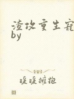 渣攻重生宠男妻by