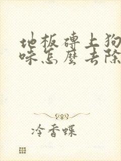 地板砖上狗尿骚味怎么去除