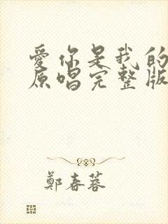 爱你是我的选择原唱完整版