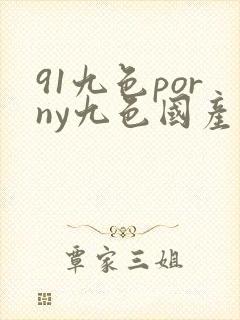 91九色porny九色国产视频