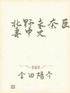 北野未奈巨乳人妻中文