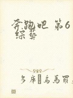 奔跑吧 第6季 综艺