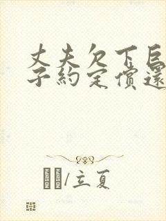 丈夫欠下巨债妻子约定偿还