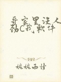 哥家里没人使点劲C我软件