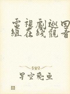 电视剧巡回检察组在线观看免费