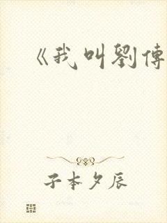 《我叫刘传说》