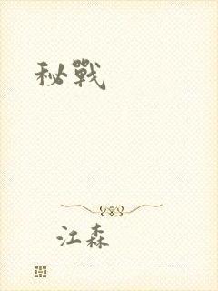 秘战
