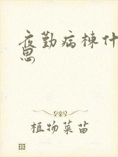 夜勤病栋什么意思