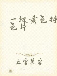 一级黄色特级黄色片