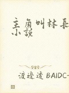 主角叫林长歌的小说封面