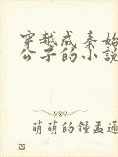 穿越成秦始皇二公子的小说