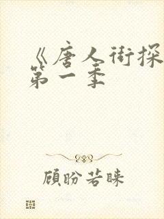 《唐人街探案》第一季