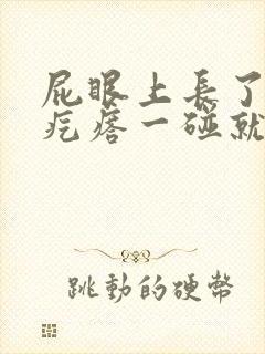 屁眼上长了个硬疙瘩一碰就疼封面