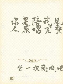 你是陪我风雨的人原唱完整版