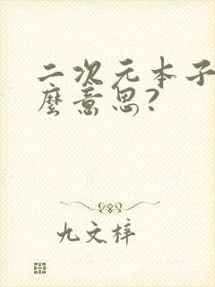 二次元本子是什么意思?