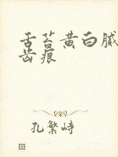 舌苔黄白腻厚有齿痕