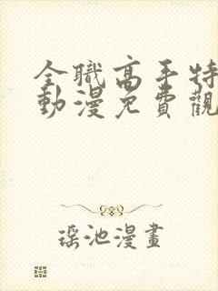 全职高手特别篇动漫免费观看全集