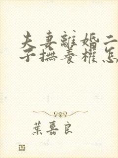 夫妻离婚二个孩子抚养权怎么判定