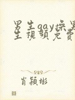 男生gay操男生视频免费看封面