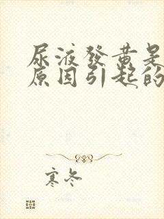 尿液发黄是什么原因引起的