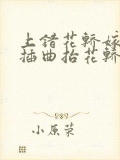 上错花轿嫁对郎插曲抬花轿