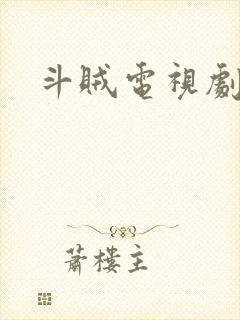 斗贼电视剧