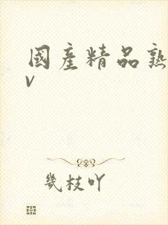 国产精品熟女av