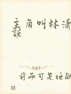 主角叫林潇的小说