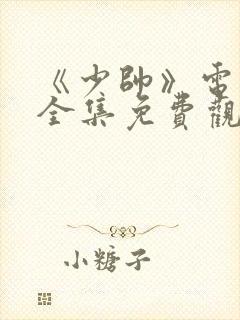 《少帅》电视剧全集免费观看高清