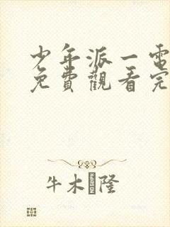 少年派一电视剧免费观看完整版