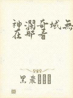 神澜奇域无双珠在哪看封面