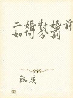 二婚对婚前财产如何分割