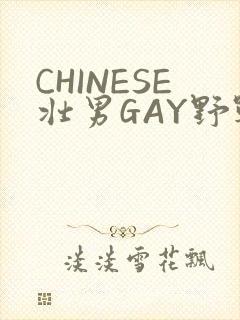 CHINESE壮男GAY野战强迫TUBE